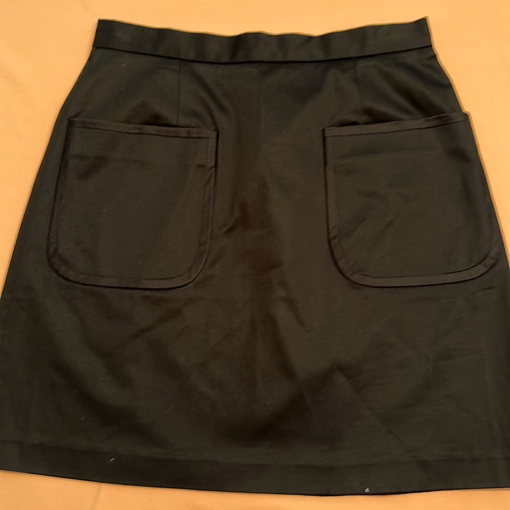 New Elizabeth and James Mini Skirt. Black. Size S.